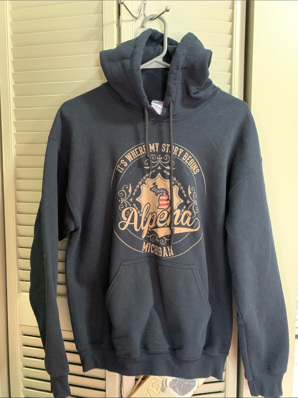 Gildan Alpena Michigan Graphic Hoodie
